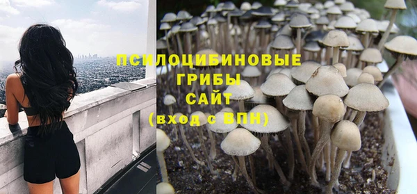 тгк Балахна