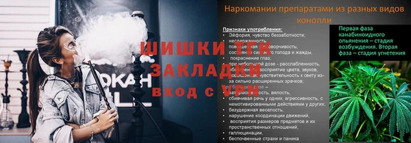 амф Сатка