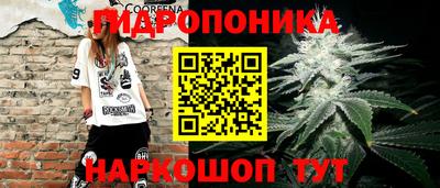 индика Балаково