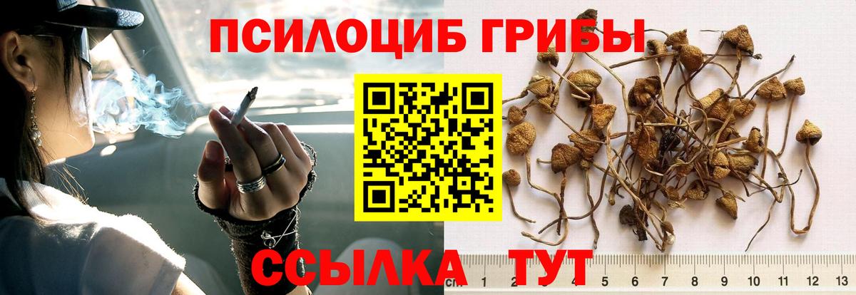 Галлюциногенные грибы мухоморы Белово