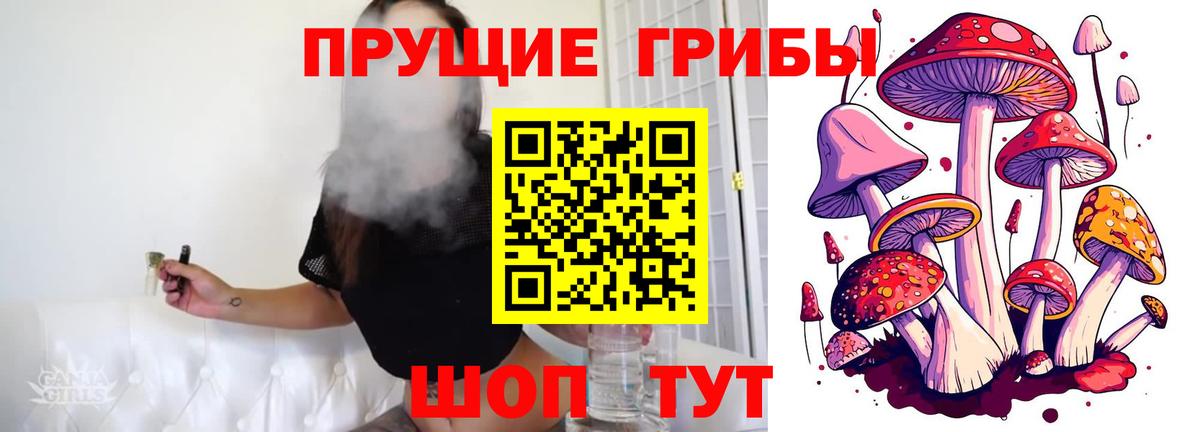 Галлюциногенные грибы Cubensis Белово