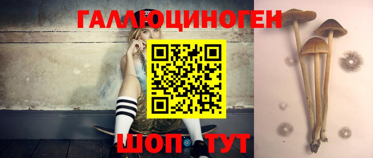 хочу наркоту  Белово  Галлюциногенные грибы мухоморы 