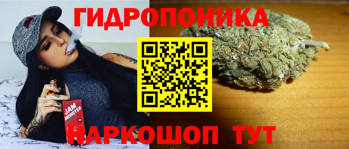 Конопля Bruce Banner  Белово  МАРИХУАНА гибрид  Каннабис индика  Шишки марихуана ГИДРОПОН 